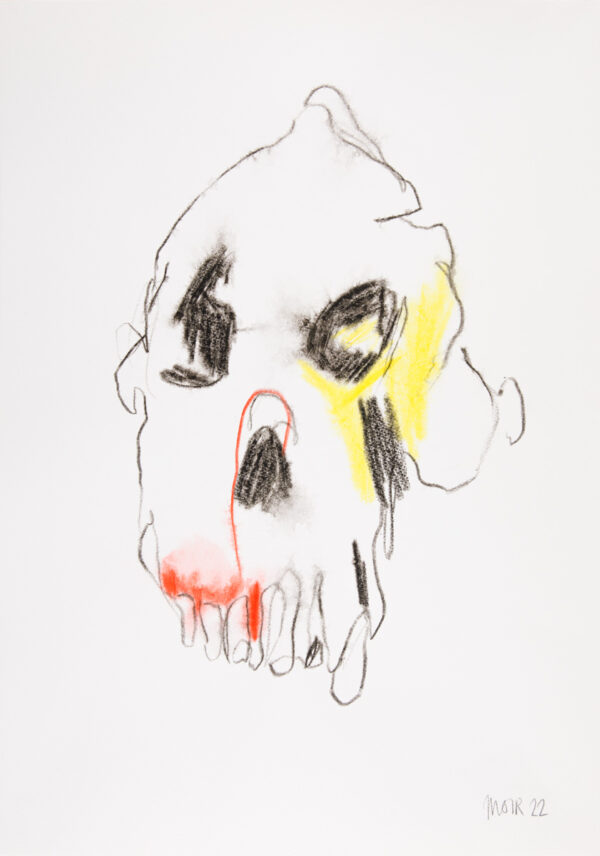 Australopithecus 1