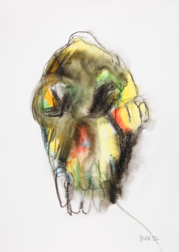Australopithecus 2