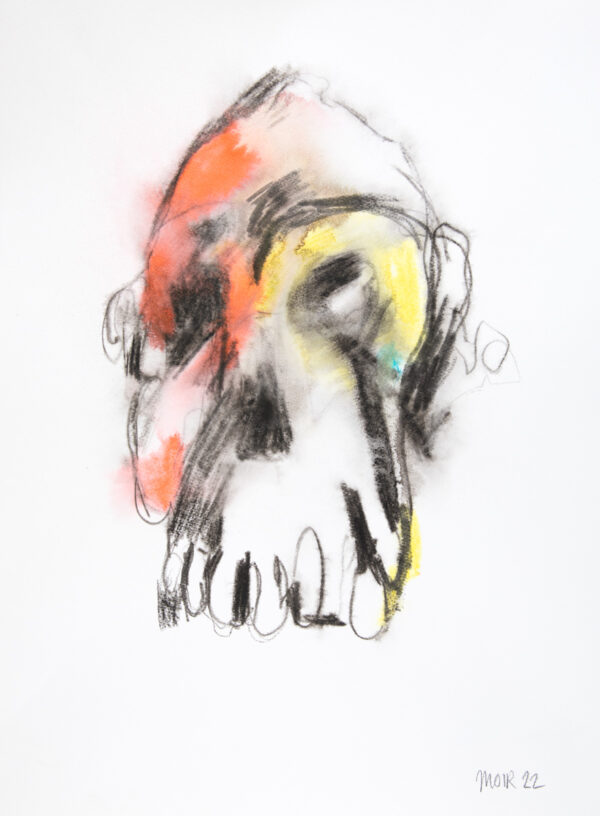 Australopithecus 3