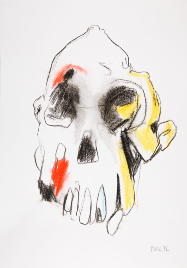 Australopithecus 4