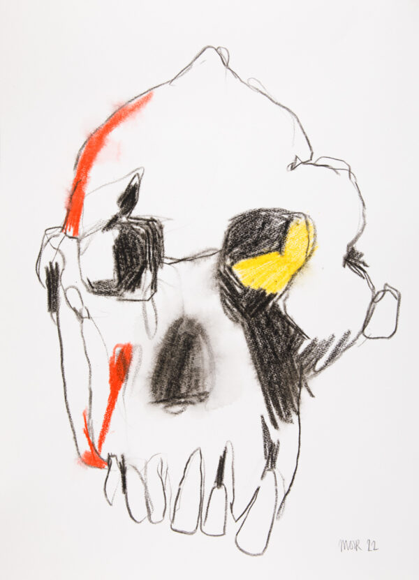 Australopithecus 5
