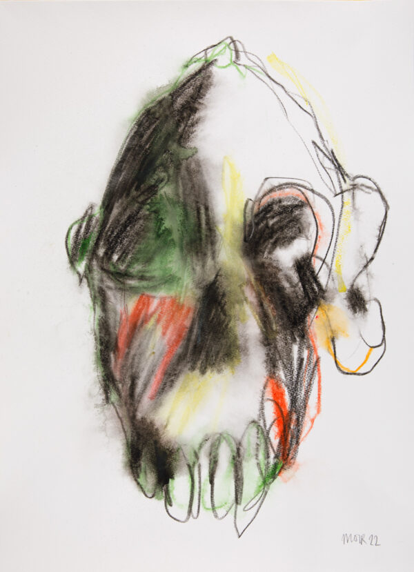 Australopithecus 6