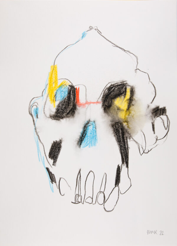 Australopithecus 7
