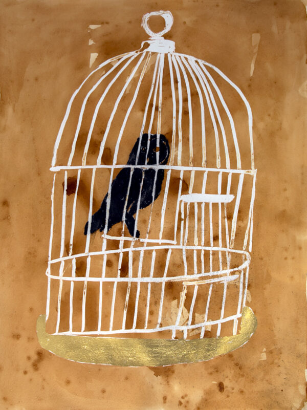 Barn Owl in cage with gold highlights