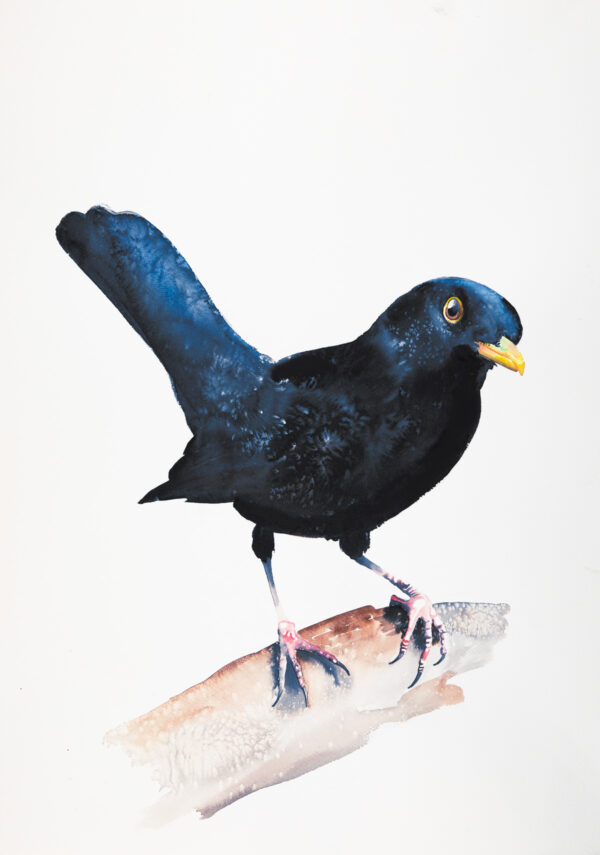 Blackbird I - Large Print