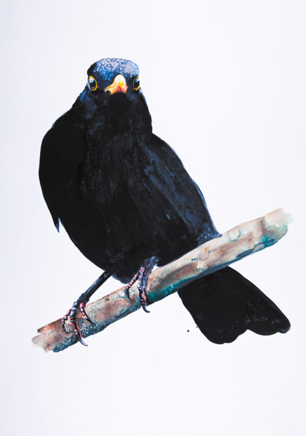 Blackbird II - Large Print