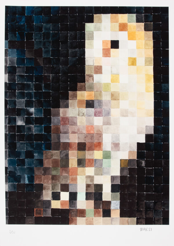 Pixelated Barn Owl