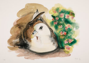 Fulmar