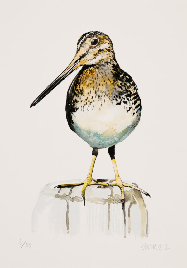 Snipe