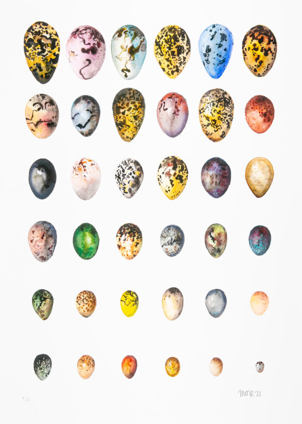 Three Dozen Eggs
