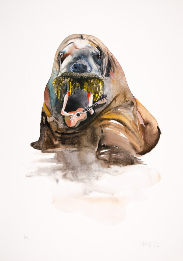 Whilst on holiday in Svalbard, I saw this walrus playing a guitar with its ‘face prongs’. I went to get my camera but it had gone so I painted this to prove it happened.