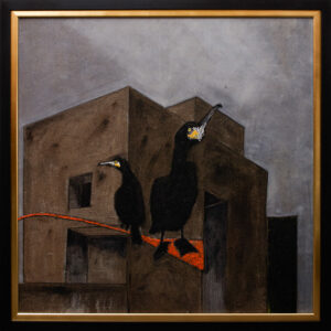 Two Cormorants
