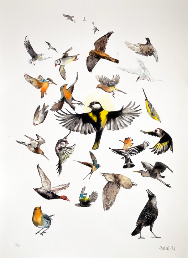All Hail The Great Tit