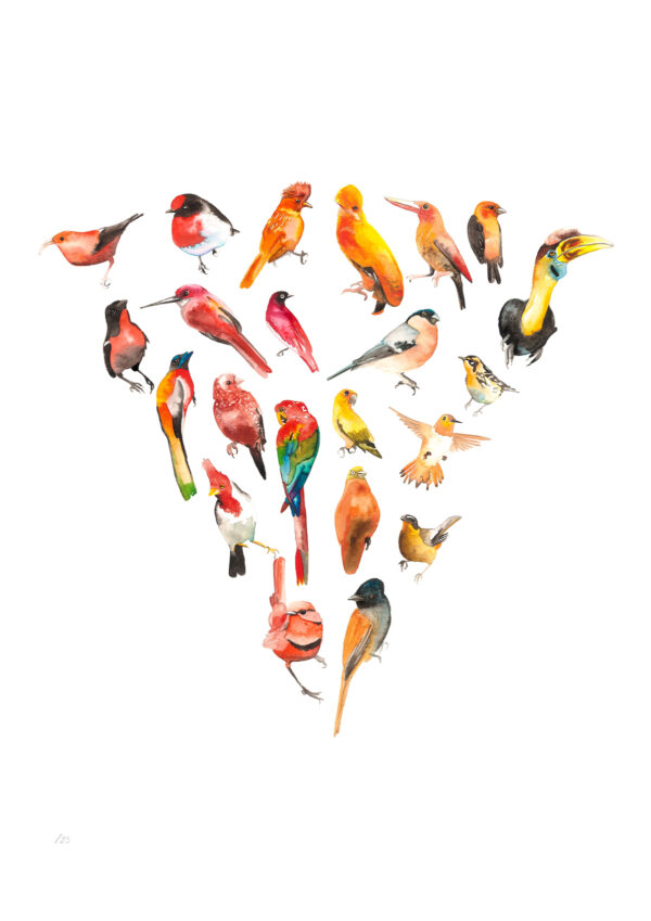 Colour Wheel Orange