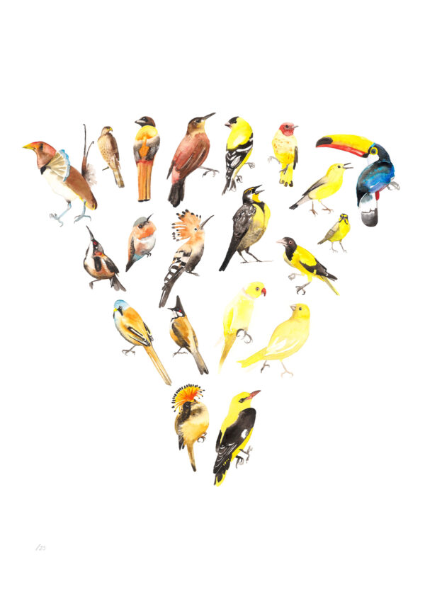Colour Wheel Yellow