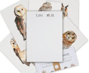 Five British Owls - Collectors Edition Box Set