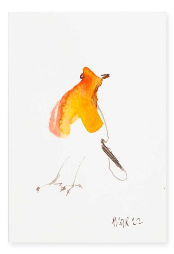 Abstract Robin (9)