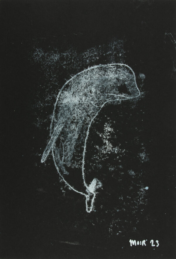Beluga Whale 2