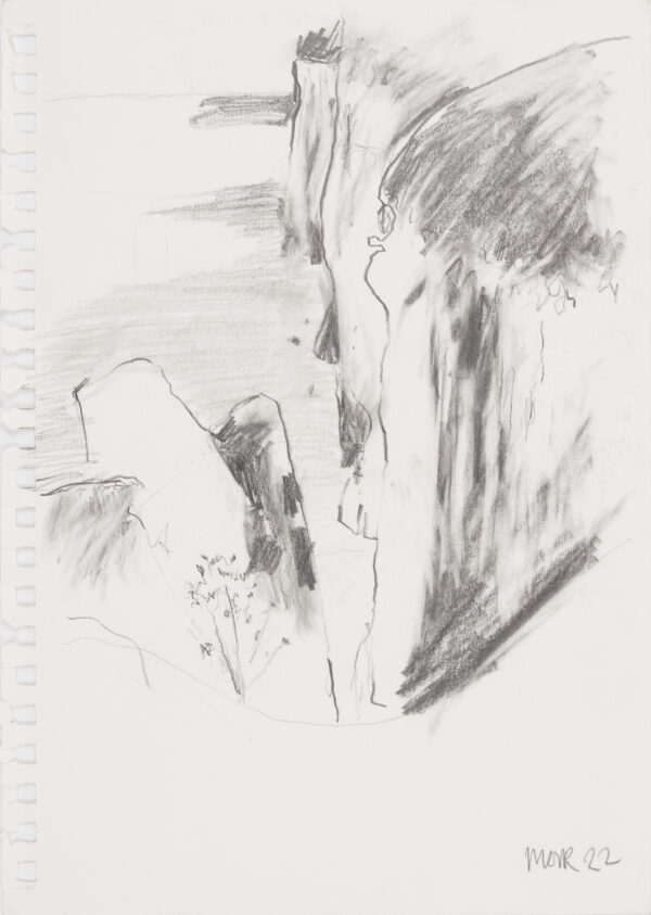 Bempton Cliffs (as seen on Painting Birds)