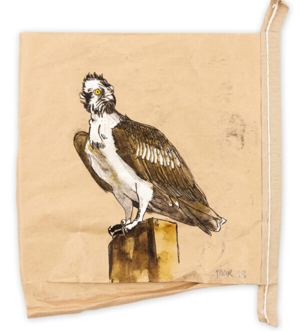Osprey