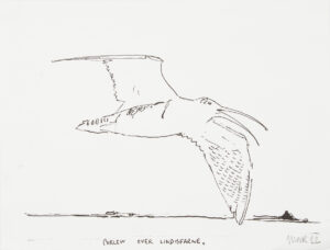 Curlew over Lindisfarne