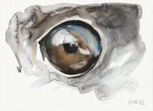 Eagle Eye Harris