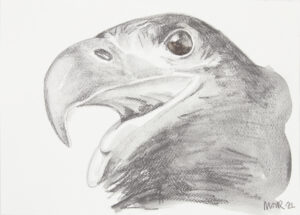 Golden Eagle Harris Pencil
