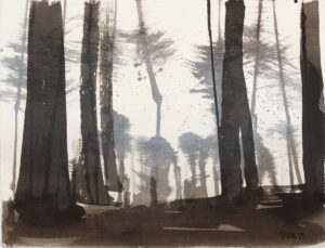 Pine Forest 2