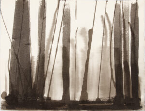 Pine Forest 3