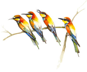 The Bee Eaters