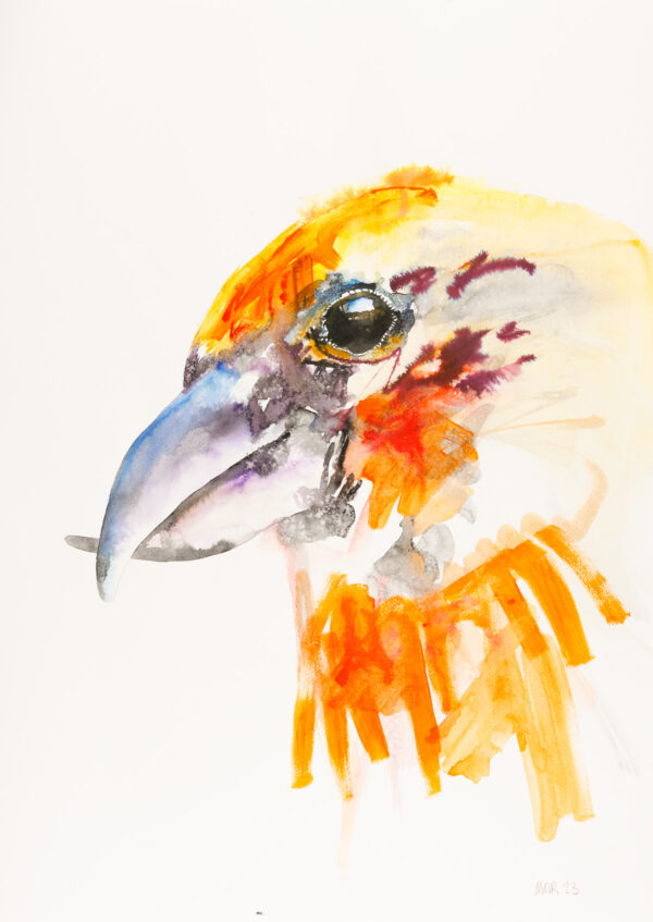 Crossbill