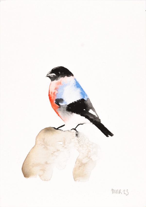 Bullfinch 1