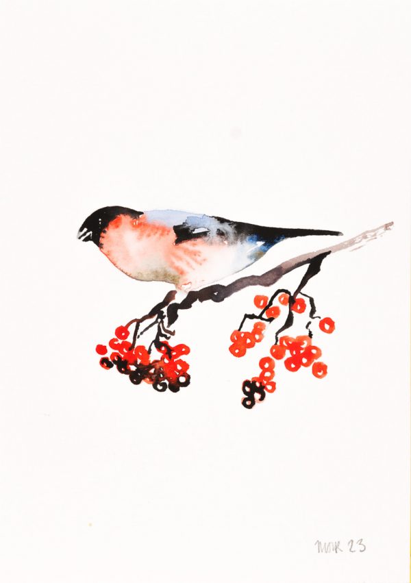 Bullfinch 2