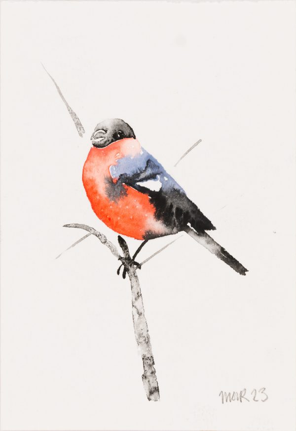 Bullfinch (postcard) 3