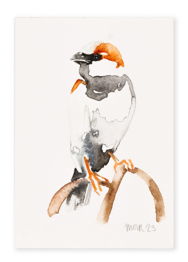 House Sparrow (postcard size) 3