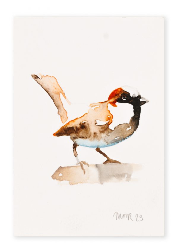 House Sparrow (postcard size) 4