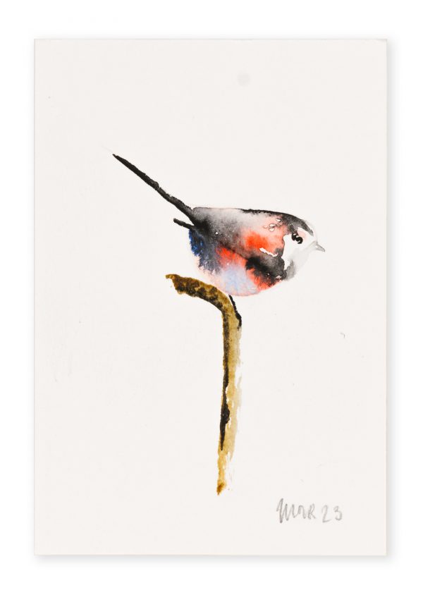 Long Tailed Tit (postcard size) 3