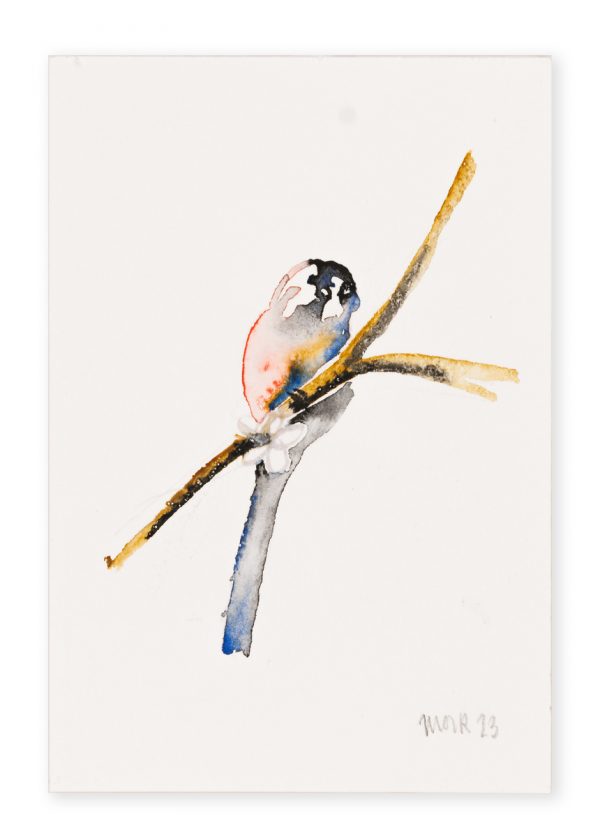 Long Tailed Tit (postcard size) 4