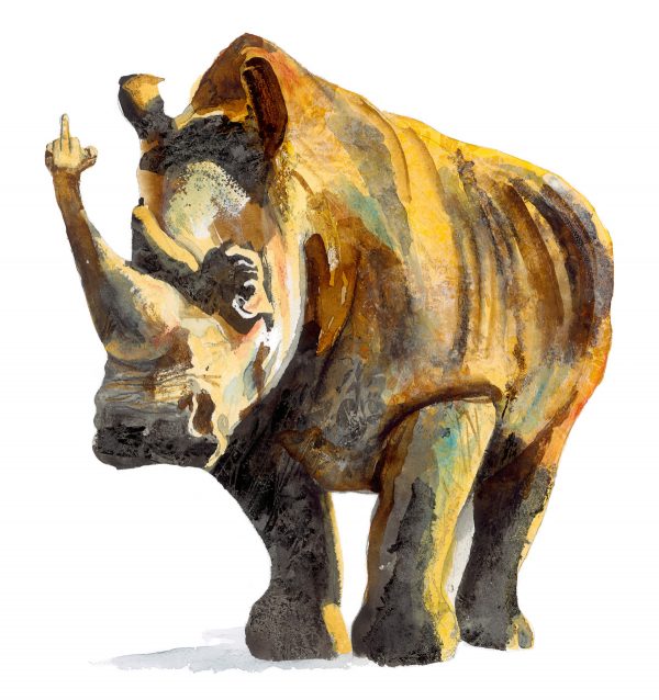 Rhino