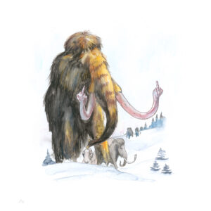 Woolly Mammoth