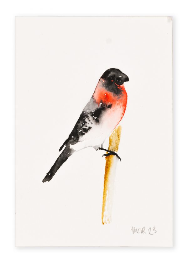 Bullfinch (postcard) 4