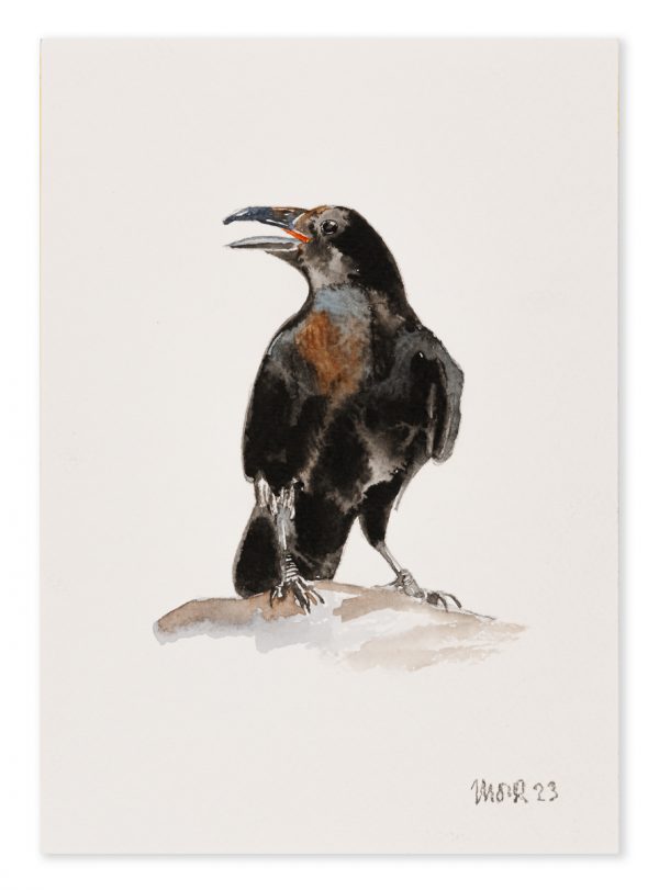 Raven 2