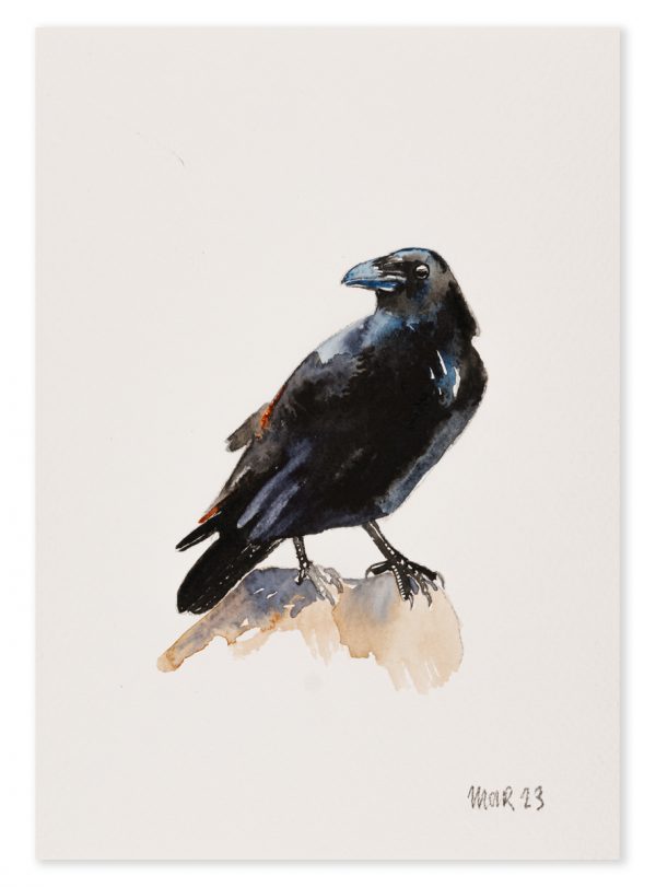 Raven 4
