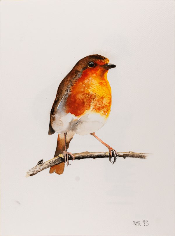 Robin (Original)