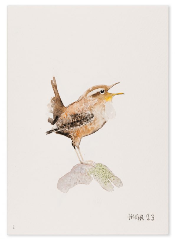 Wren 2