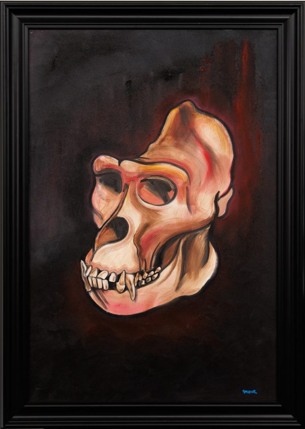 Gorilla Skull