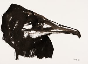 Cormorant 2