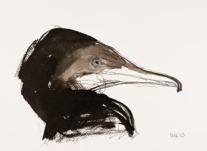 Cormorant 3