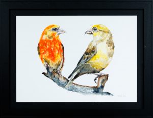 Crossbills
