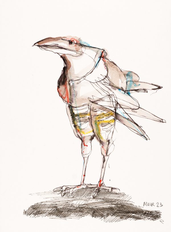 Scruffy Bird